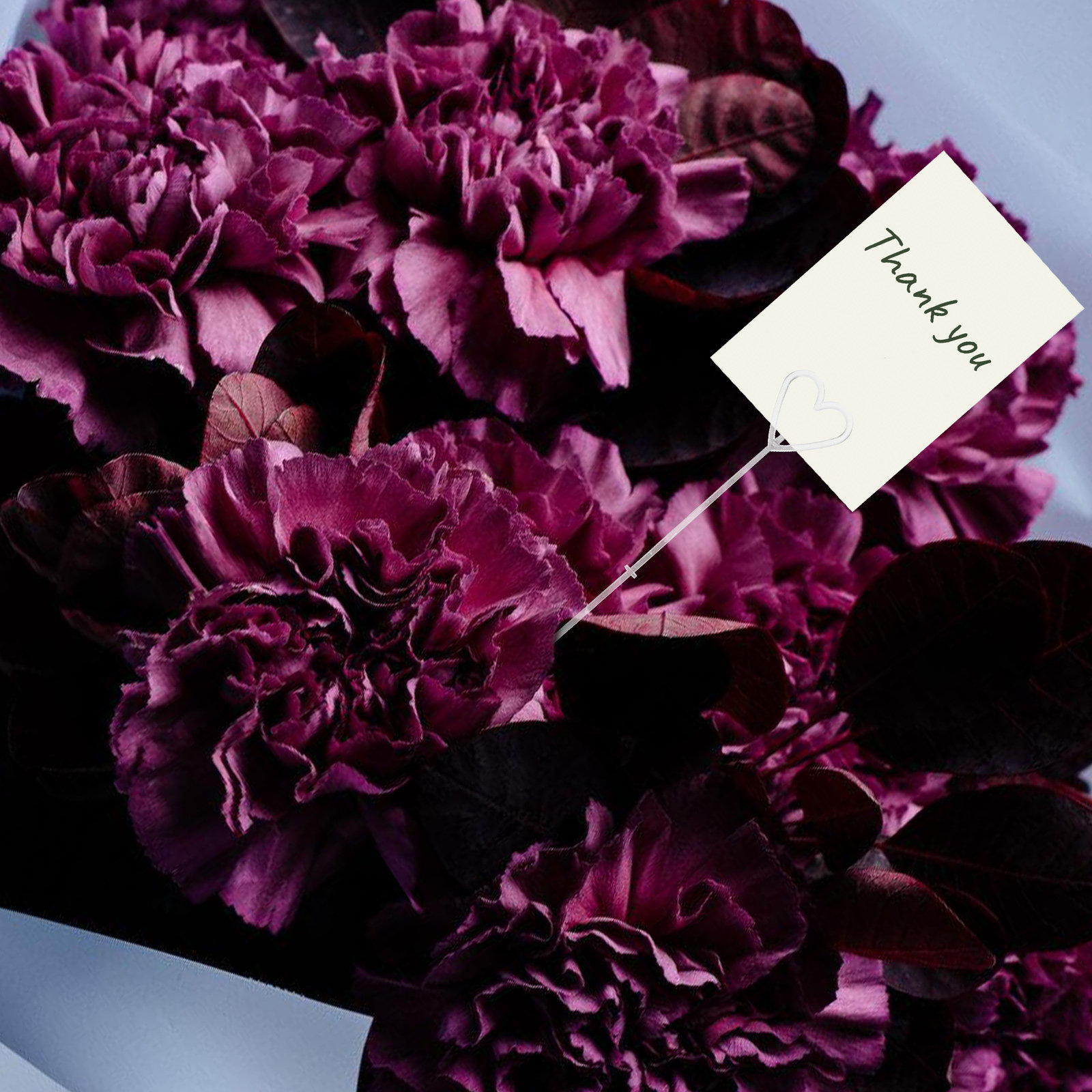 80Pcs Floral Pick Card Holders - Wedding Supply Decor ulasan dan harga