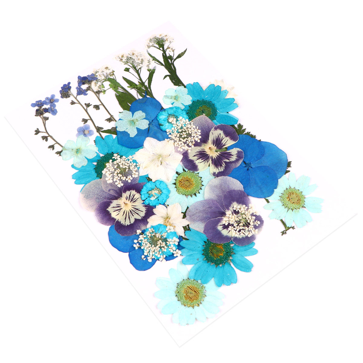 40pcs Pressed Flowers Material - Wedding Supply Kit ulasan dan harga