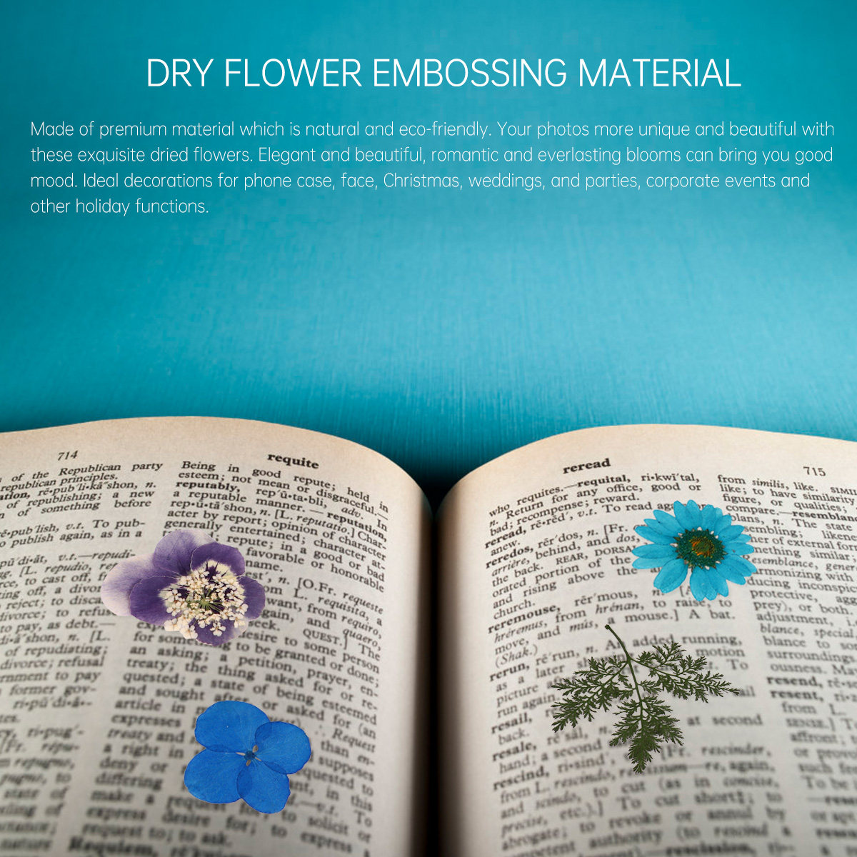 40pcs Pressed Flowers Material - Wedding Supply Kit ulasan dan harga